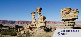 Valle de la Luna & Talampaya {package-custom-search}